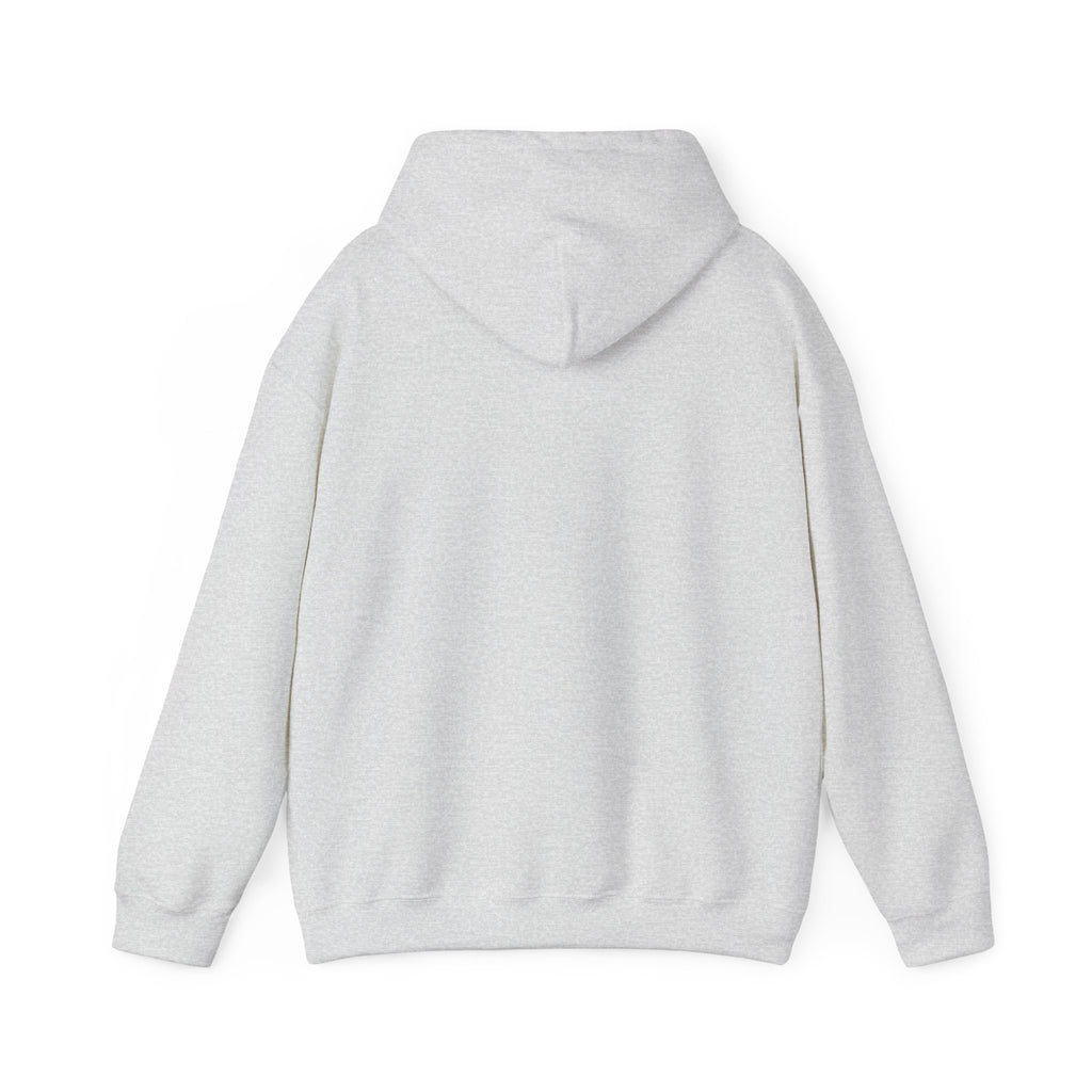 Ash gray pullover hoodie back view with hood and kangaroo pocket