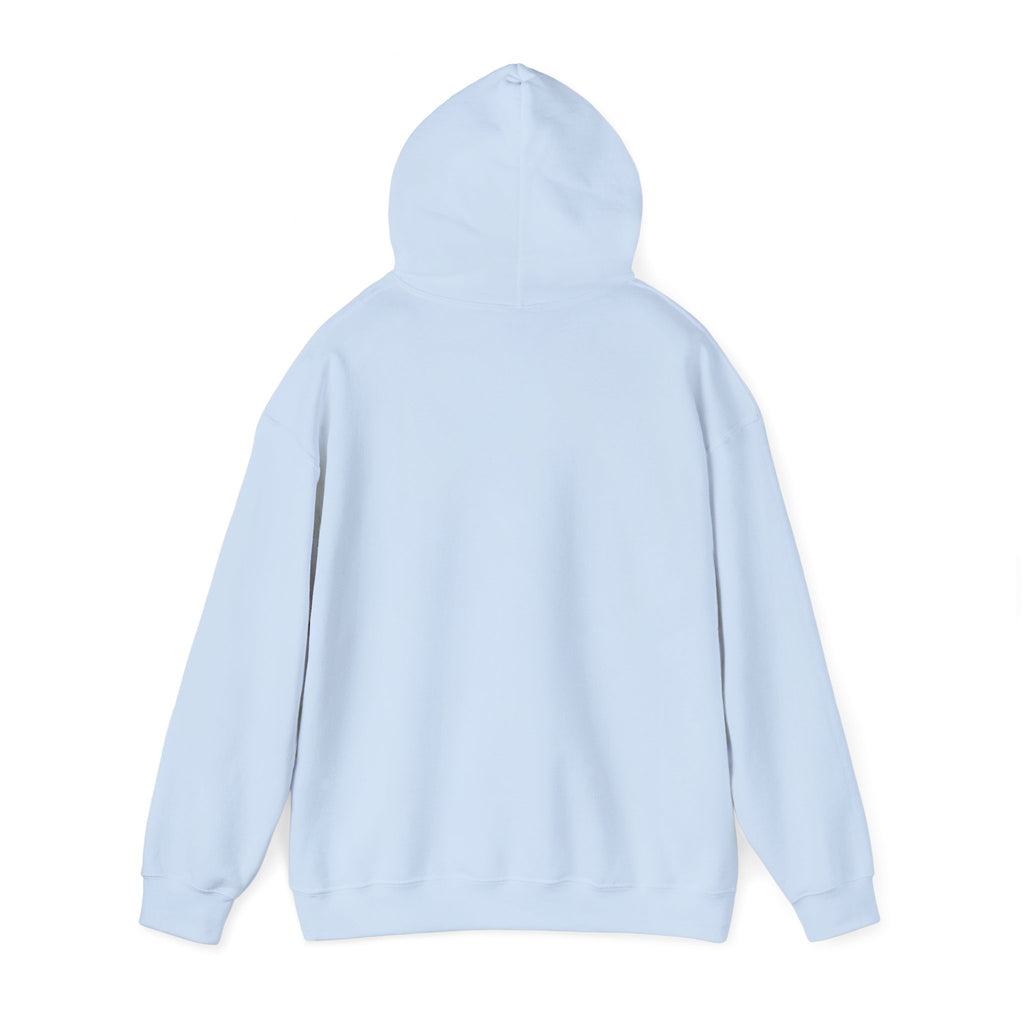 Light blue pullover hoodie rear view with hood and long sleeves