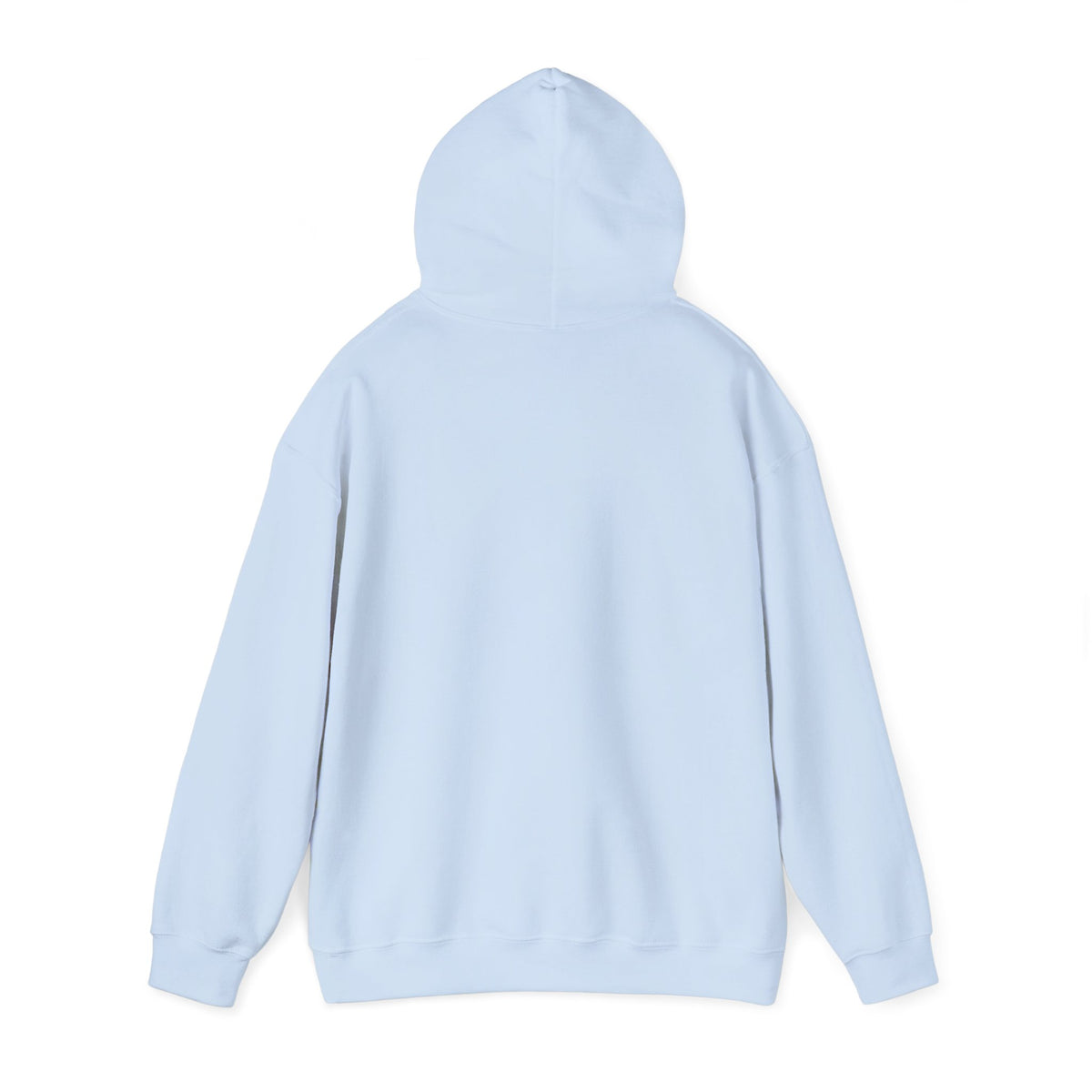 Light blue pullover hoodie rear view with hood and long sleeves