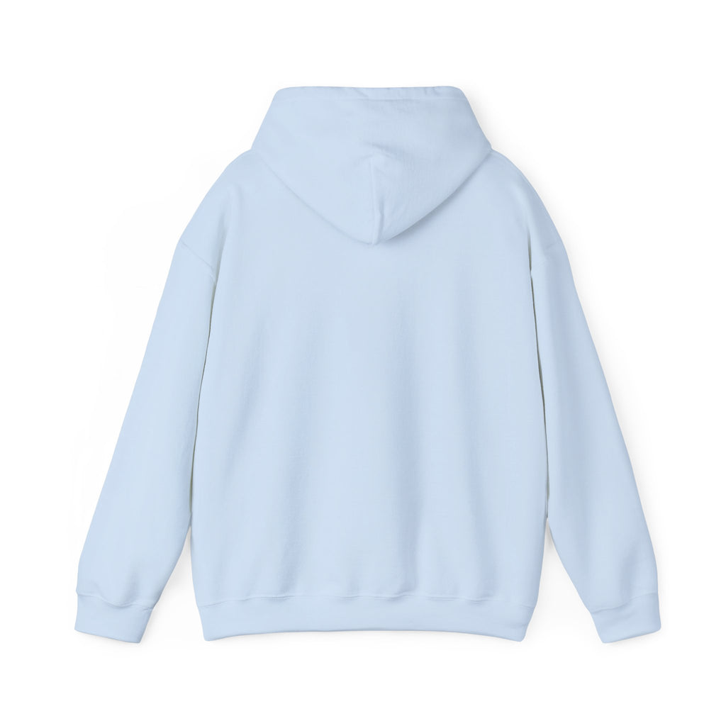 Light blue pullover hoodie with hood and kangaroo pocket, no visible graphic