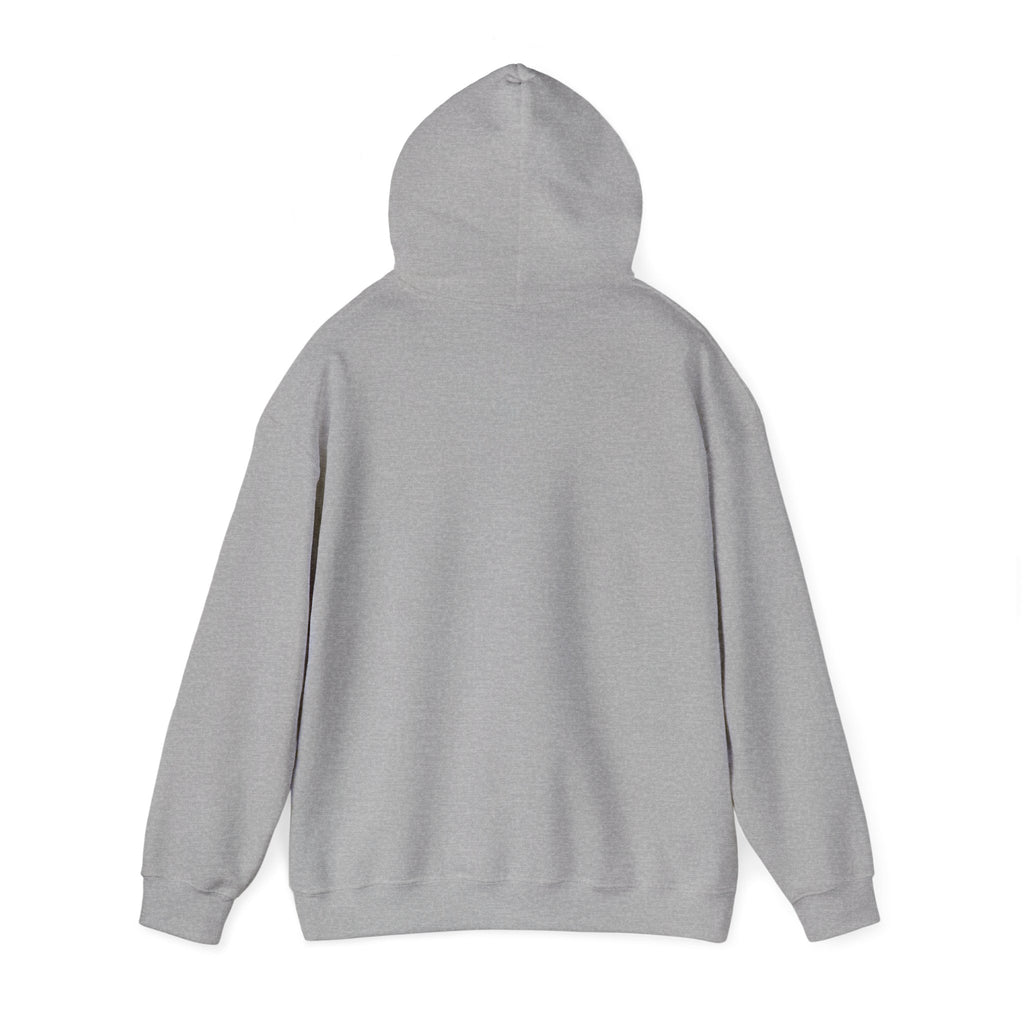 Sport grey pullover hoodie back view with hood and long sleeves