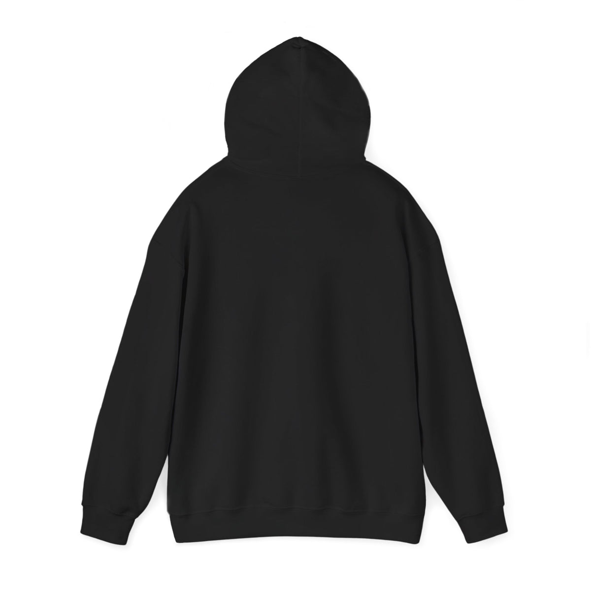 Black hoodie with full back view and attached hood