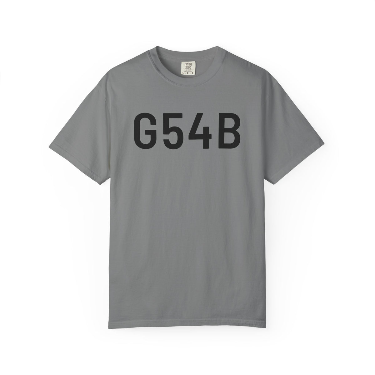 Grey crew-neck T-shirt with G54B logo print on chest